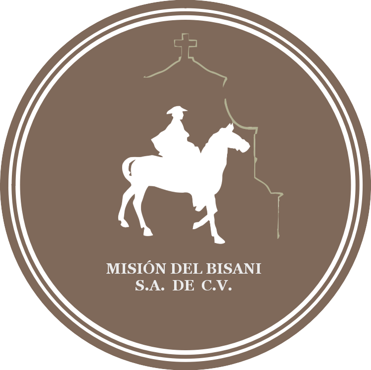 Logo bisani